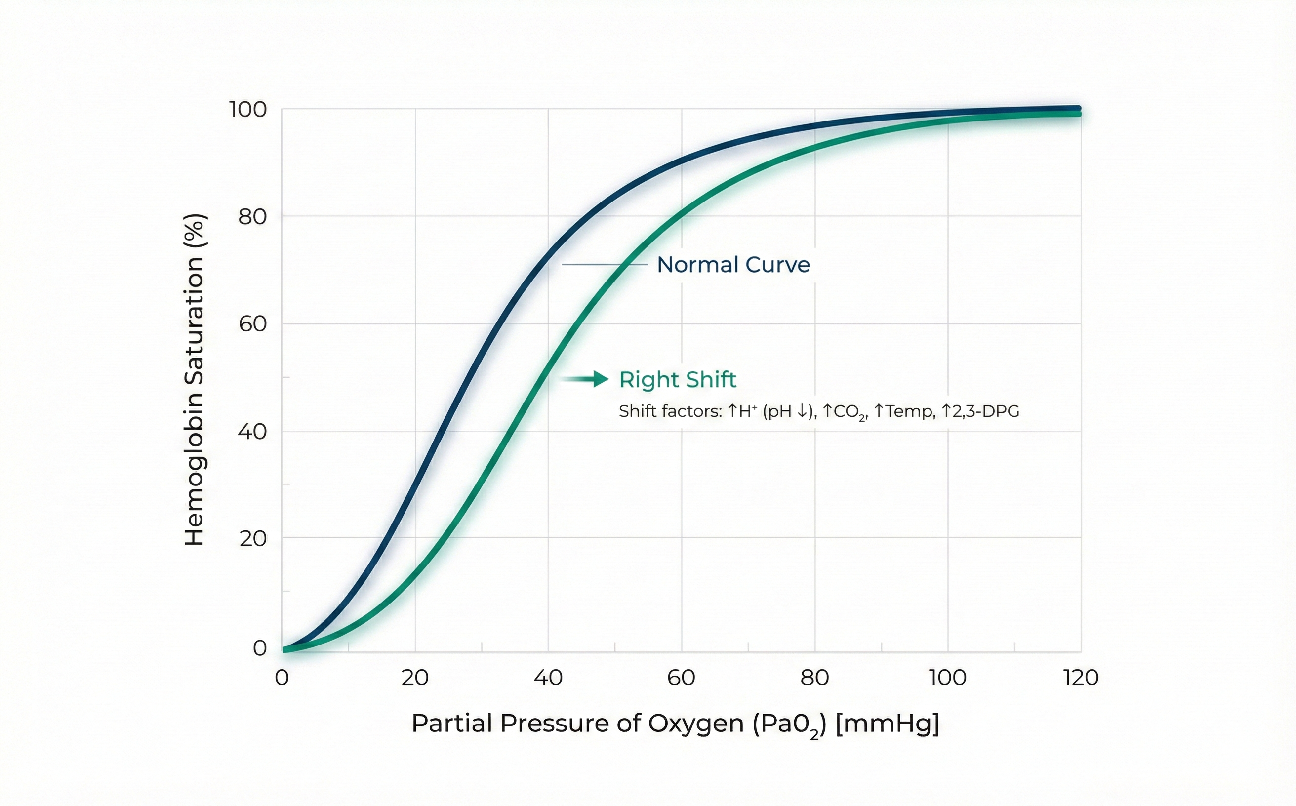 Curva de disociación de la oxihemoglobina — desplazamiento a la derecha cuando sube el CO2
